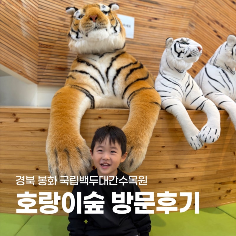 봉화 백두대간수목원 호랑이숲 아이와 가을나들이후기