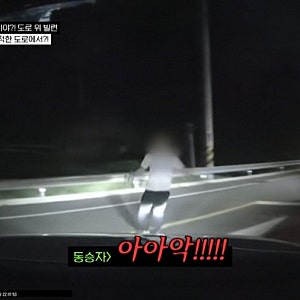 한블리 그사건, 이천 마장면 지산리조트 인근 '차량 위협·파손' 카자흐스탄인 검거…공범은 ....
