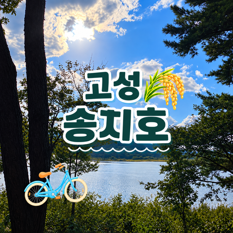 [강원도 고성] 고성 아이와 가볼만한곳 | 송지호 자전거여행부터 왕곡마을까지, 자전거 대여....