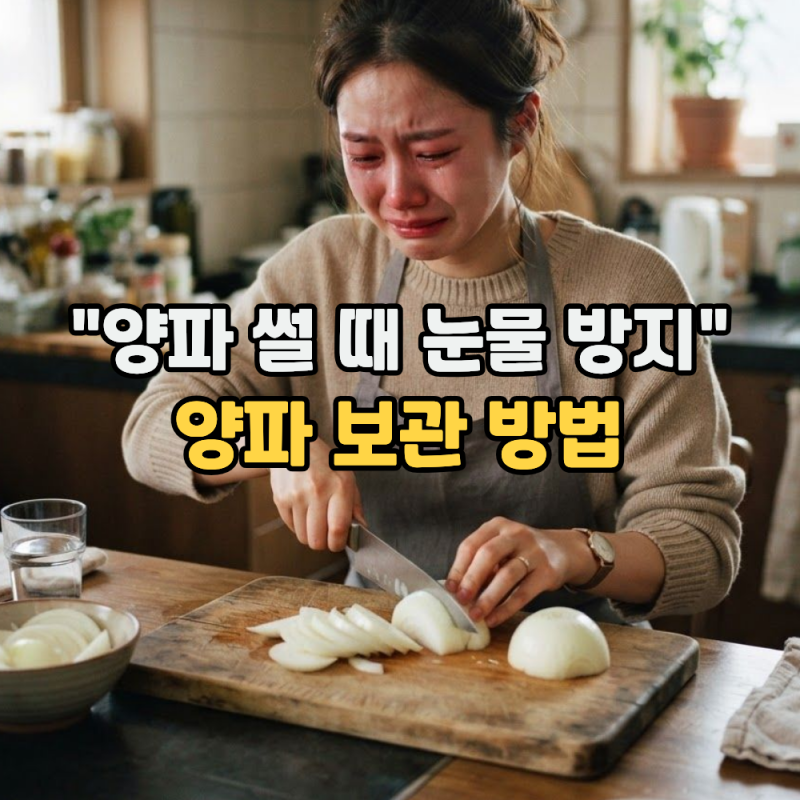 양파 보관법과 고르는법 "눈물 방지: 깐양파 썰 때 눈물 안나는 법" (통 양파 실온, 냉장, 냉동....