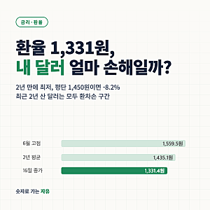 원달러 환율 1,331원 2년 만에 최저, 내 달러·미국주식은 평단 환율별로 얼마 손해일까?