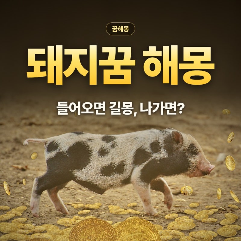 돼지꿈 해몽 상황별 25가지, 집에 들어오는 돼지·황금 돼지·새끼 돼지 꿈 풀이