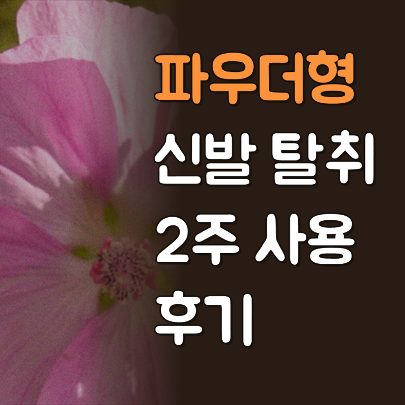 발냄새 제거제 파우더 가루형 신발 탈취제 악취 제거 80g