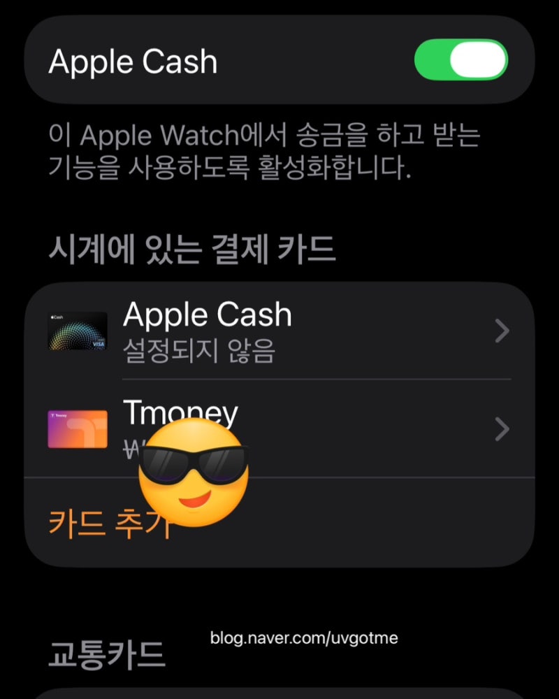 애플워치 티머니 교통카드 등록 방법 아이폰에서 옮긴 후기