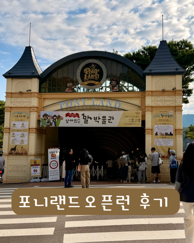 과천 렛츠런파크 포니랜드 오픈런 후기 | 입장료, 승마·포니랑 놀기 체험 가격 키 제한, 문화....