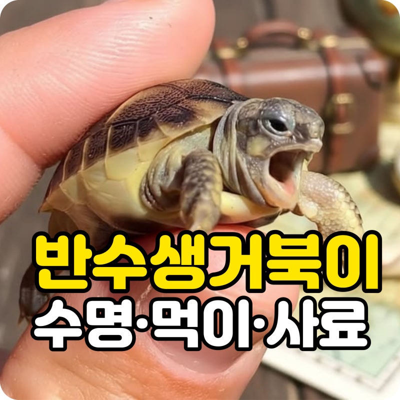 반수생 거북이 생각보다 오래 산다고? 종류별 수명과 먹이 사료 알아보기