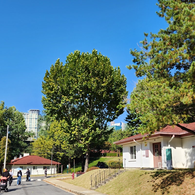 용산에 이런 곳이 있었다고? 용산 어린이 정원 & 용산서가 방문 후기