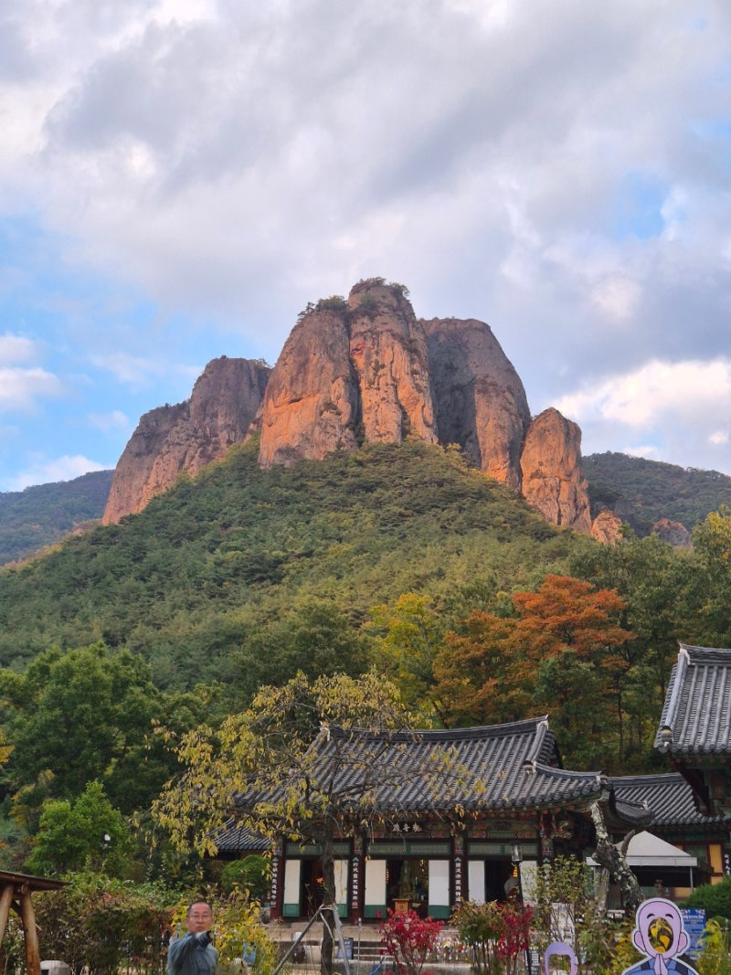 [ 청송 주왕산 등산 ] 코스 추천⛰️, 대전사부터 용추협곡 용연폭포까지 (주차·소요시간)✨