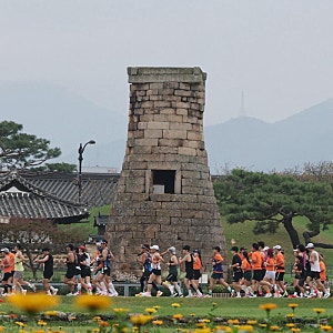 경주 20대 마라톤 참가자 실신, 서울레이스 여성 사망 이어 또 쓰러졌다…러닝 열풍 비상