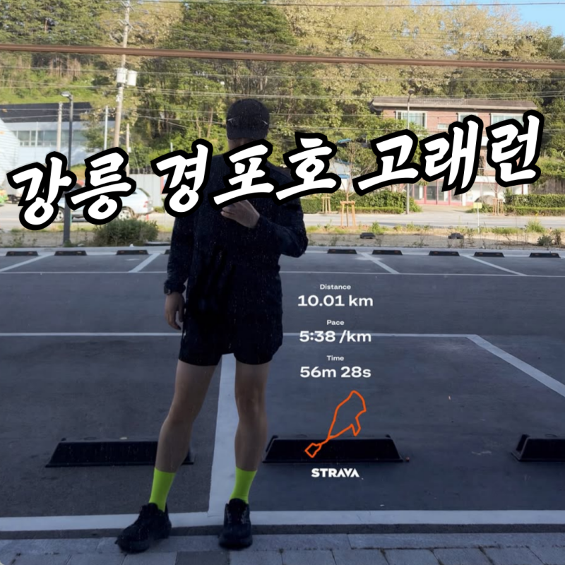 [러닝코스] 강릉 고래런 gpx 경포호 10km 아트런