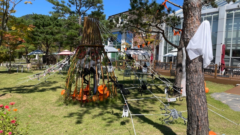 가평가볼만한곳 실내 온실에서 보낸 베고니아새정원 데이트