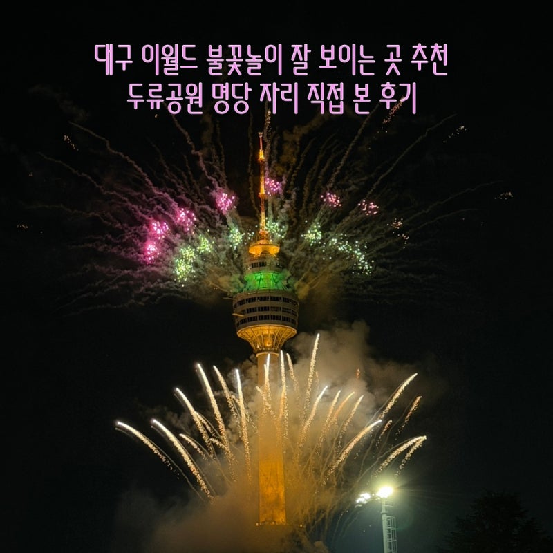 대구 이월드 불꽃놀이 무료 관람 명당 추천 두류 공원 아이랑 자전거 타고 직접 본 후기(애견....