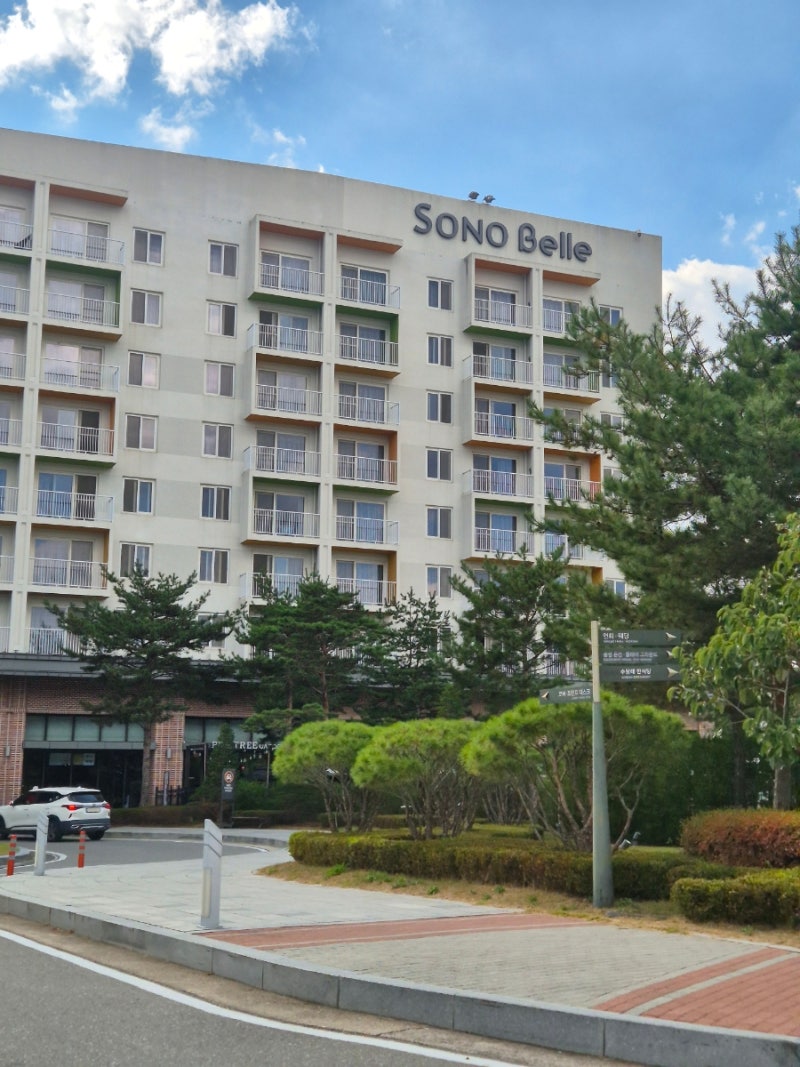 청송 숙소 추천 소노벨 청송, 산소카페 청송에서 즐긴 힐링 숙박 후기 (부대시설, 주차 팁)