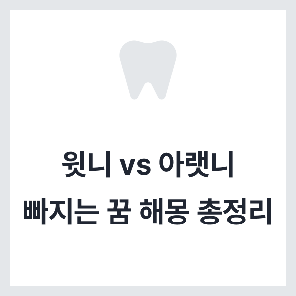 치아 빠지는 꿈 해몽 상황별 총정리! 피 나는 꿈과 윗니·아랫니 차이점은?