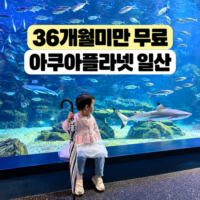 일산 아쿠아플라넷 26개월 아기랑 가본 후기