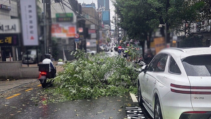 [속보] 10월 때아닌 가을 폭우… 경기권 호우특보 및 침수·안전 주의사항 정리