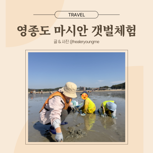 영종도 마시안 갯벌체험 조개 잘 잡히는 시기 : 5월 vs 10월 조개 수확량 비교