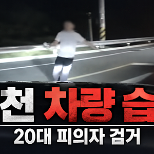 이천 차량 습격 사건, 카자흐스탄 20대 검거! 두 달 넘게 미제로 남았던 이유는?