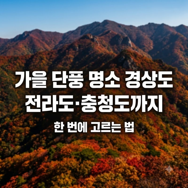 가을 단풍 명소 경상도, 전라도·충청도까지 한 번에 고르는 법