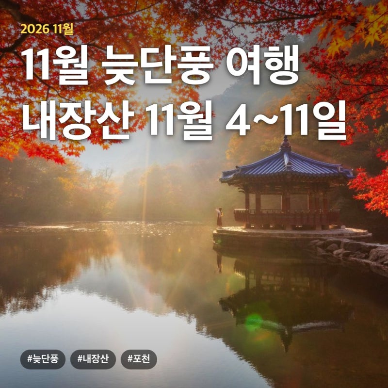 11월 국내 여행지 추천, 내장산 늦단풍 절정일과 포천 당일치기 입장료 주차 정리