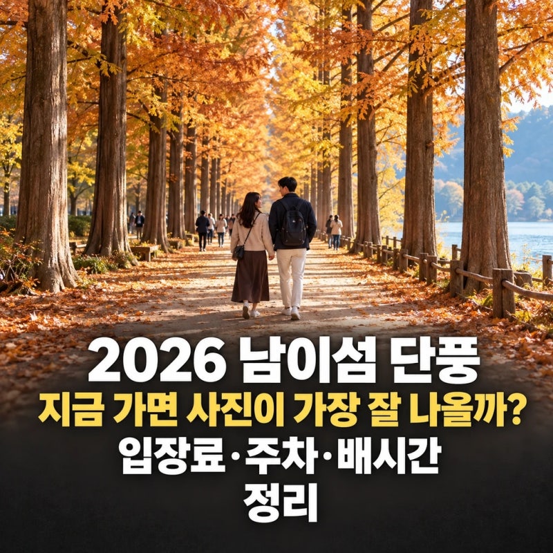 2026 남이섬 단풍 지금 가면 사진이 가장 잘 나올까? 입장료·주차·배시간 정리