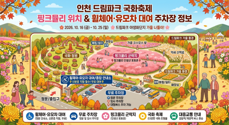 인천 드림파크 국화축제 핑크뮬리 위치 & 휠체어·유모차 대여 주차장 정보