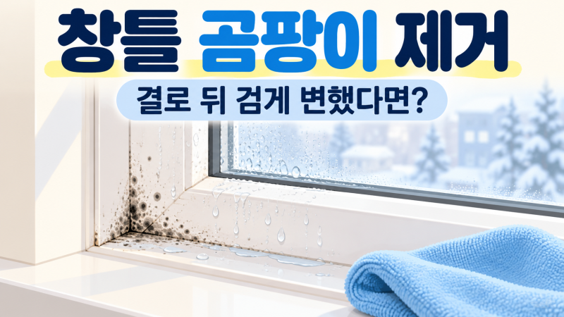 창틀 곰팡이 제거 방법｜결로 뒤 검게 변한 곳 청소