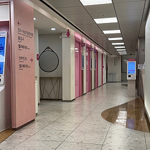 자궁내막 용종 자궁경 수술 후기ㅣ수술 전 증상부터 조직검사 결과 보험 청구까지