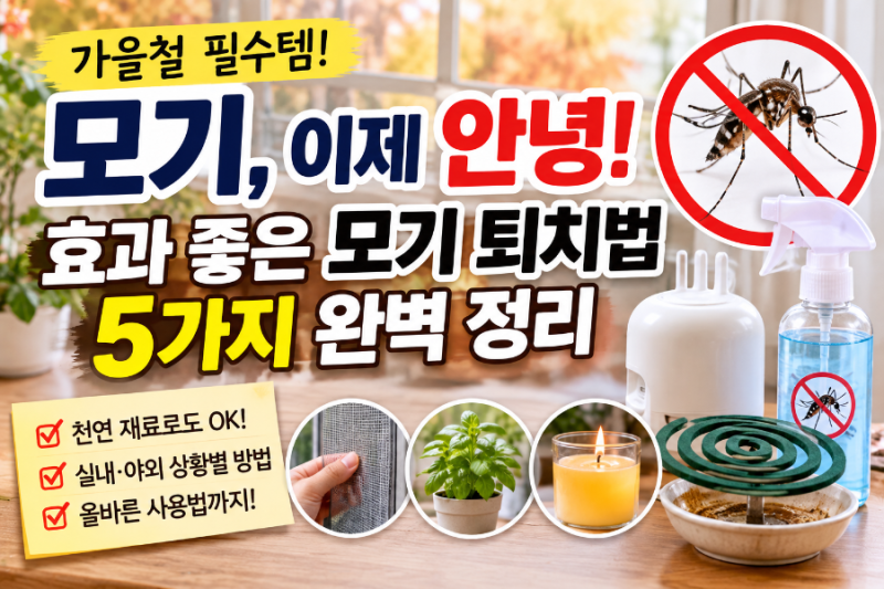 모기, 여름 끝났다고 안심하면 안 돼요! 가을철 모기 퇴치법 7가지 총정리