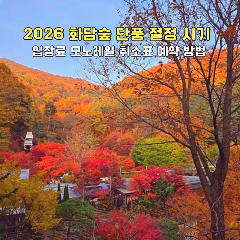 2026 화담숲 단풍 절정 시기 입장료 모노레일 취소표 예약 방법·풀리는 시간