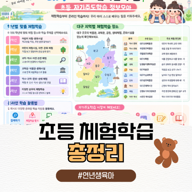 대구 초등학생 체험학습 | 사교육 걱정 덜어주는 자기주도학습 정보모아 총정리 (2026)