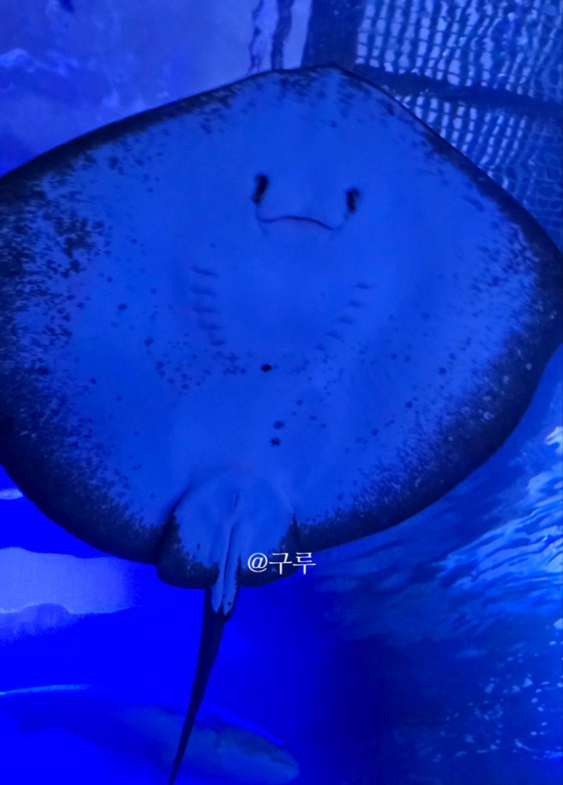 여수 실내 가볼만한곳 해양수산과학관 관람 후 무슬목해변 산책까지 완전 정복