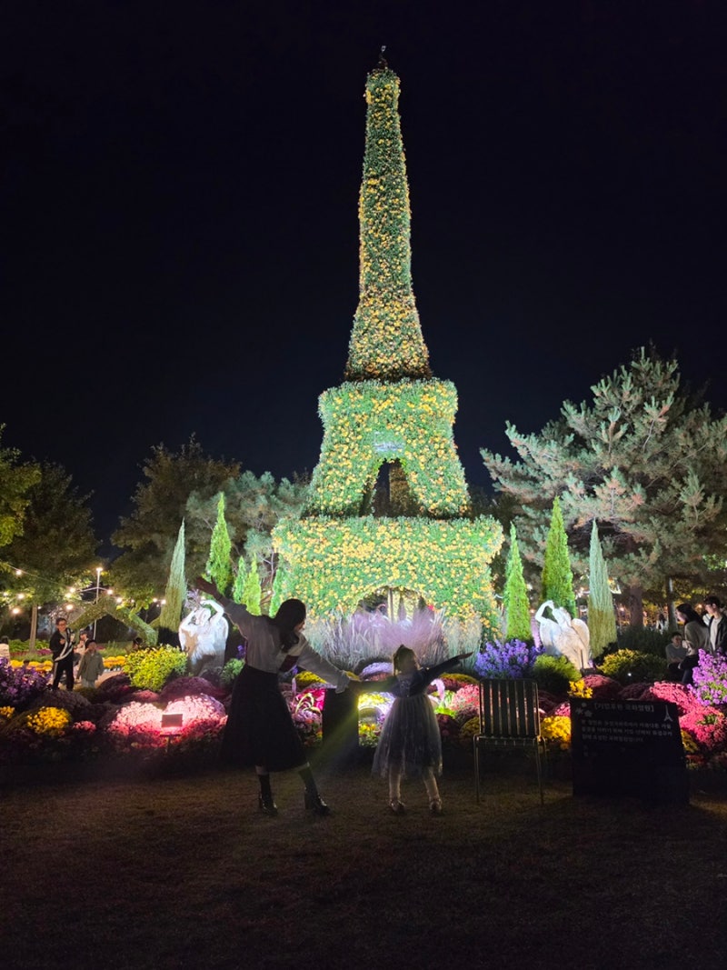대전 유성국화축제 개막일 방문 후기, 개화상태·주차정보·드론쇼