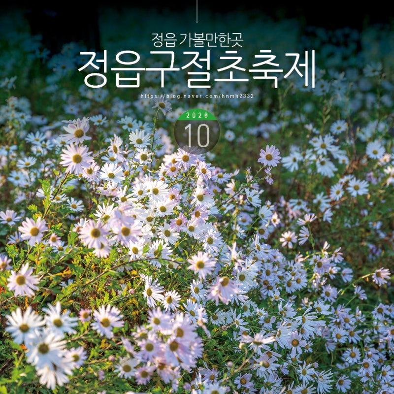 정읍 가볼만한곳 정읍 구절초축제 10월 여행지 추천