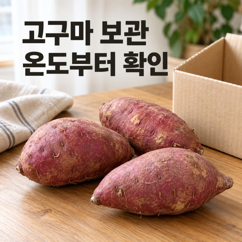 생고구마 보관법, 베란다에 두기 전 확인할 온도·습기·통풍