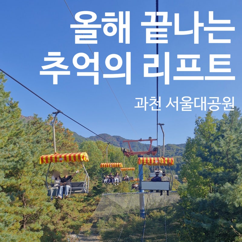 올해 마지막! 과천 서울대공원 스카이리프트 운행 종료 시간, 요금 꿀팁