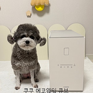 쿠쿠 에코웨일 큐브 메가 3L 음식물처리기 떡과 죽도 눌어붙지 않는 음처기추천