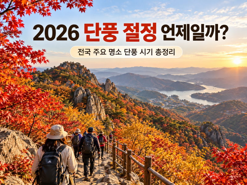 2026 단풍 절정 언제일까? 설악산·북한산·지리산 전국 단풍 시기 총정리