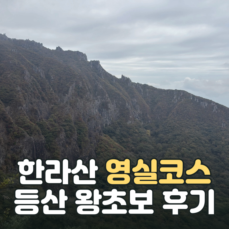 [제주 한라산 영실코스] 등산 왕초보의 윗세오름 왕복 4시간 후기