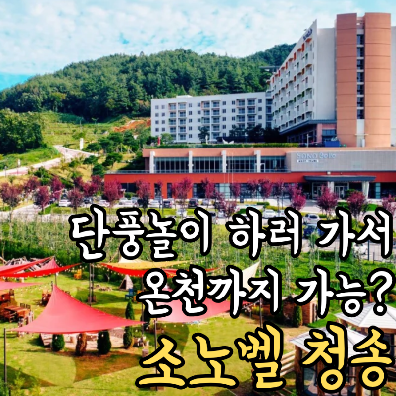 주왕산 단풍 여행 숙소 추천, 소노벨 청송 장단점 총정리 ⭐