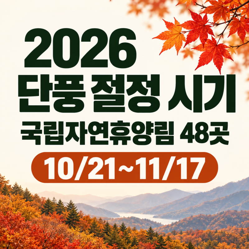 2026 단풍 절정 시기, 국립자연휴양림 48곳 날짜 총정리(10/21~11/17)