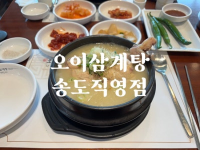 인천 송도맛집 삼계탕맛집 오이삼계탕송도직영점 녹두삼계탕 주차편리