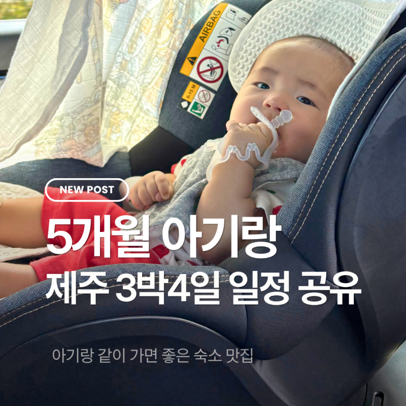 5개월 아기랑 3박4일 제주도 일정 공유 (숙소 카페)