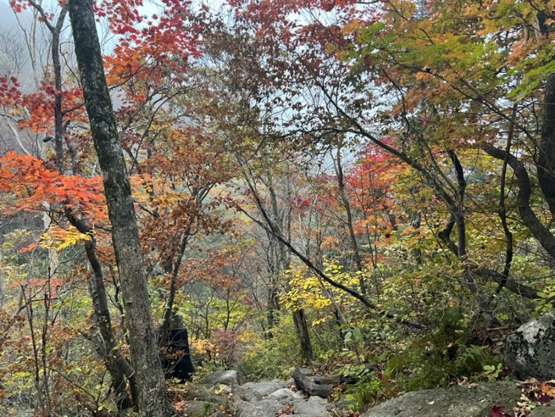 지리산 (칼바위, 망바위, 법계사, 로타리대피소 1박, 천왕봉, 제석봉, 장터목대피소, 유암폭....