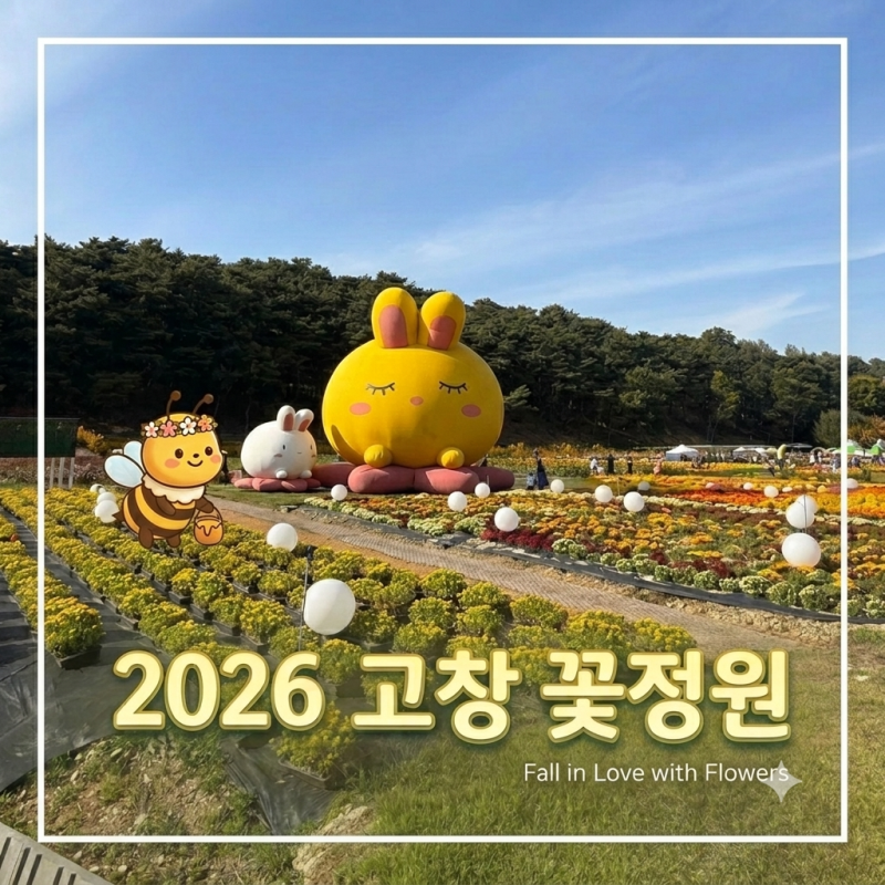 고창 꽃정원 축제 10월 가볼만한곳 나들이 메리골드, 국화, 팜파스글라스, 루드베ㅣ키아, 댑....