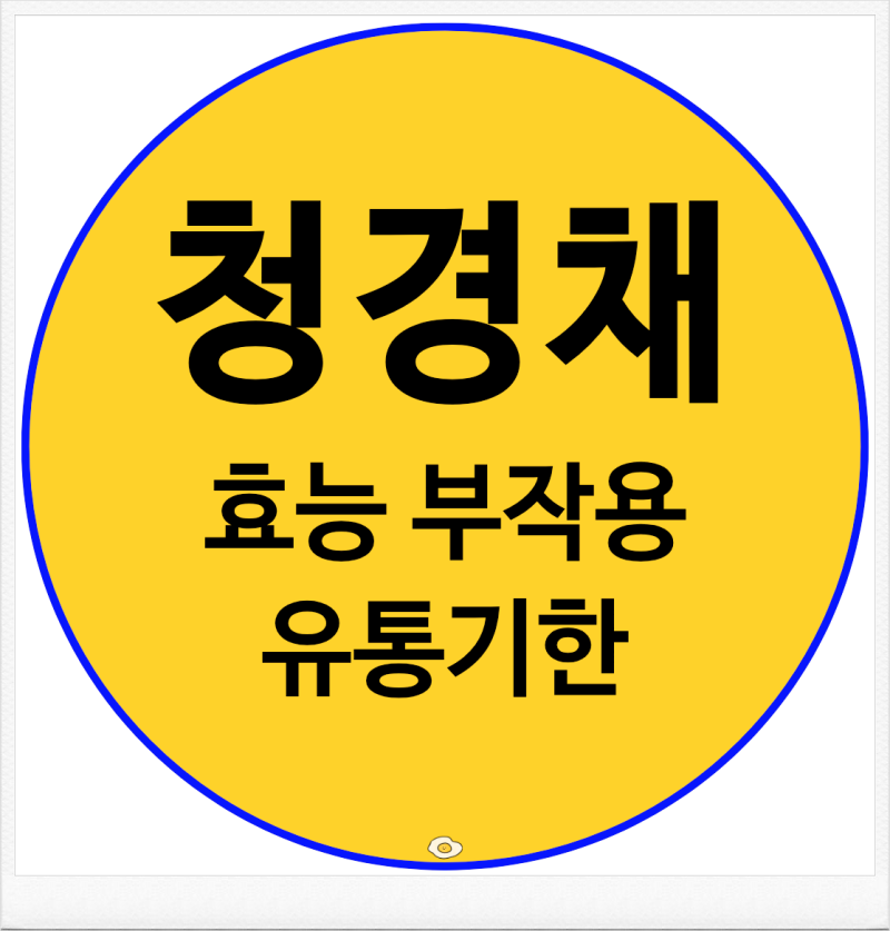 청경채 효능 부작용 먹는법 보관법 유통기한 총정리