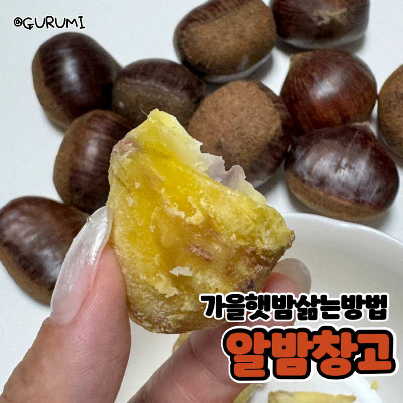 달달한 청양축파 가을햇밤 밤보관법 밤삶는방법 한번에 알려드림 (w.알밤창고)