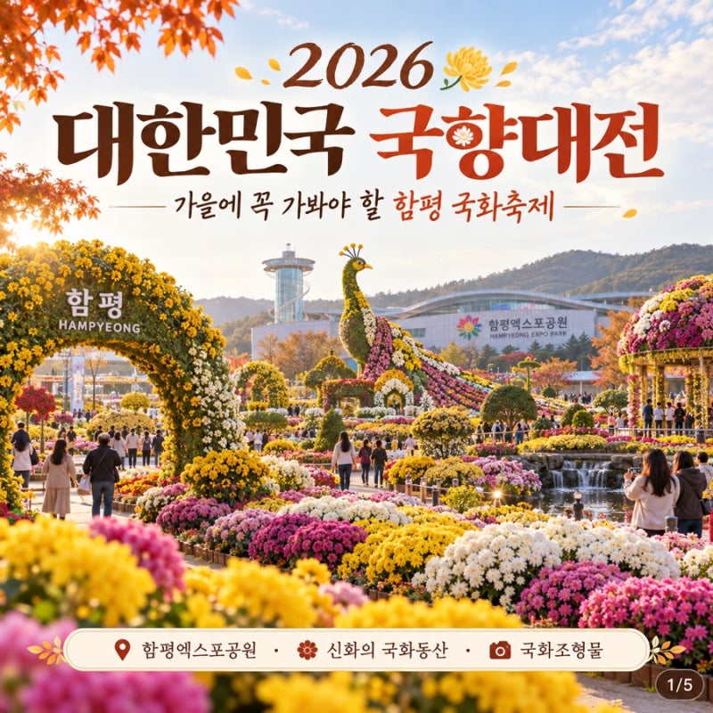 2026 대한민국 국향대전 일정 총정리｜함평 국화축제 입장료·주차·볼거리·가을여행 추천