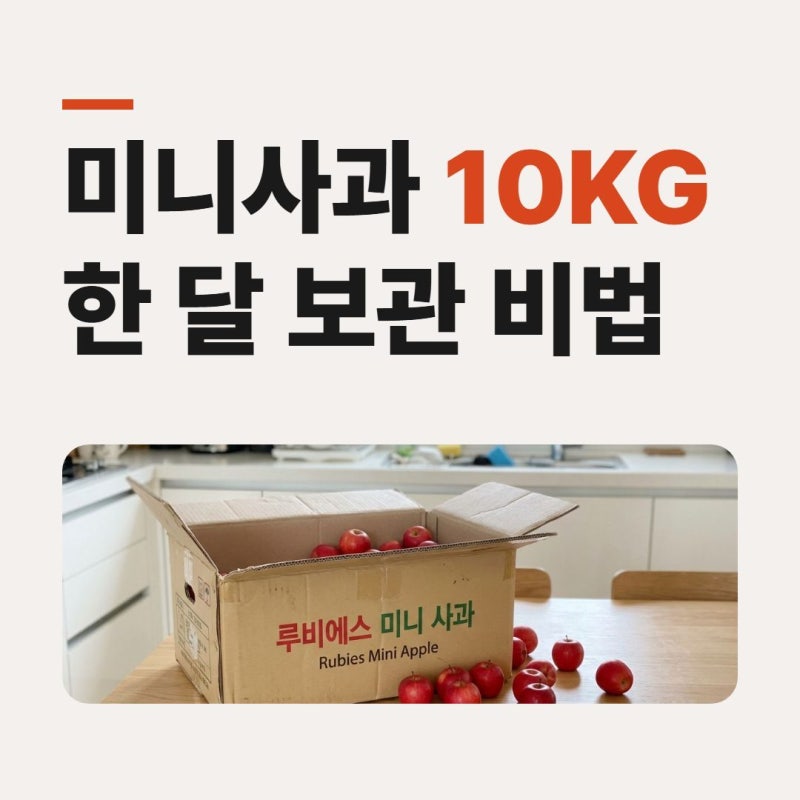루비에스 미니사과 칼로리,효능, 세척 10KG 보관법. 껍질째 드세요!