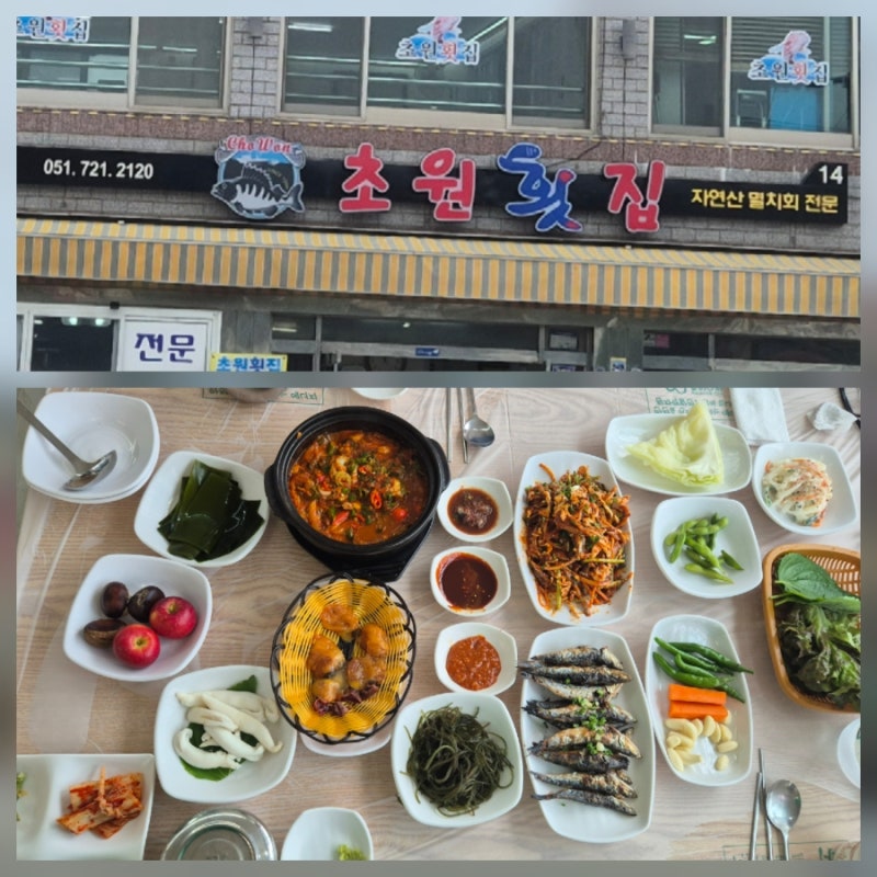 기장 횟집 추천 물회맛집 기장 멸치회 맛집 기장 모듬회 맛집 기장 자연산 회 맛집 추천 초....